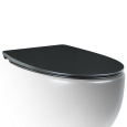 Крышка-сиденье для унитаза c микролифтом SoftClose AeT Dot 2.0 цвет черный матовый C555R105