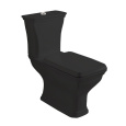 Фото Унитаз напольный ArtCeram Civitas (CIV004 03 00) черный