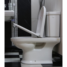 Напольный унитаз Villeroy&Boch Hommage 666210R2 / 772111R2