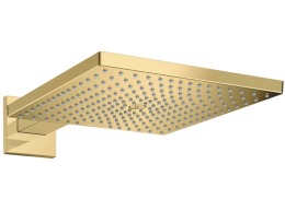 Верхний душ Hansgrohe Raindance E (26238990) золото (Gold, Polished Gold)