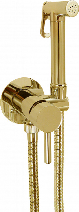 Giulini FSH25/BDOR гигиенический душ со смесителем золото