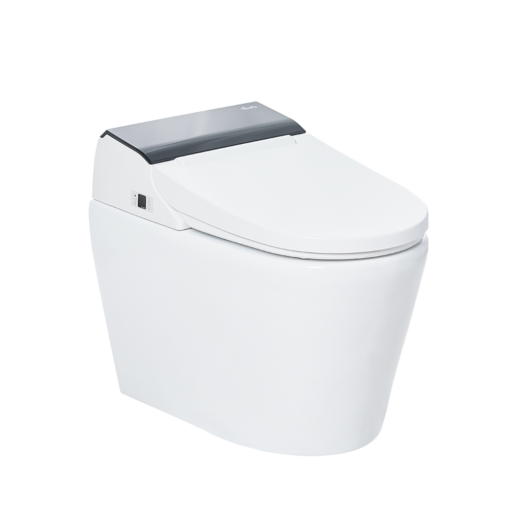 Фото Электронный унитаз Senspa Tankless (TCB-8100B)