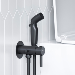 Смеситель с гигиеническим душем Damixa Option (211000300) черный