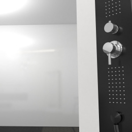 Фото Душевая кабина 110xx217 Black&White (G8708) акрил, Поддон низкий