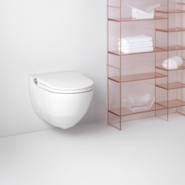 Подвесной унитаз-биде Laufen Cleanet Riva 8.2069.1.400.000.1 безободковый