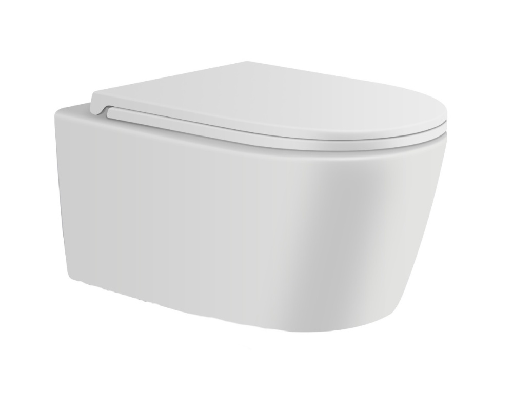 Подвесной безободковый унитаз с сиденьем микролифт Avimano Ambition 1000051, цвет белый матовый
