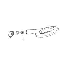 Grohe Rainshower Icon 27446000 Душ ручной, 2 вида струи