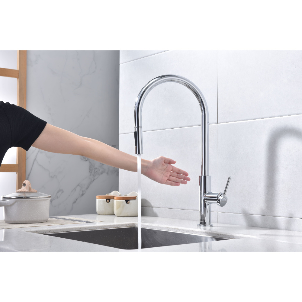 Смеситель для кухни Paulmark Senso (Se215180-CR) хром
