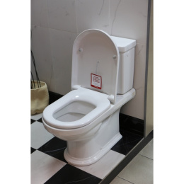 Напольный унитаз Villeroy&Boch Hommage 666210R2 / 772111R2