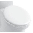 Сиденье с крышкой для унитаза VILLEROY&BOCH AMADEA 8810 66 R1
