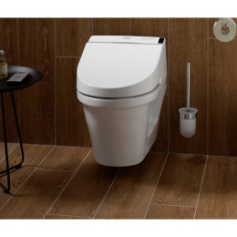 Подвесной унитаз TOTO CF CW132Y+ Washlet TCF6530G