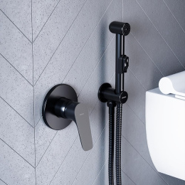 Фото Смеситель для душа Damixa Jupiter (777500300) черный