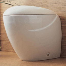 Чаша для унитаза приставного Azzurra Clas CLA100B1/P