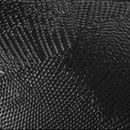 Cielo Jungle SHVSBIB Iguana Black big