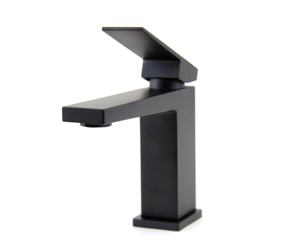 Фото Смеситель для раковины Webert Pegaso PE830102560