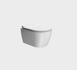 Унитаз повдесной GSI PURA 880209 46 см х 35 см, Swirlflush, для крепежа FISR2, цвет Белый матовый