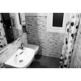 Раковина Roca Ibis (320841001) белый