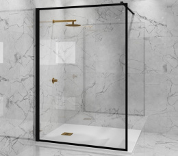 Фото Душевая перегородка 100x195 Paini PAINI-WalkIN100F