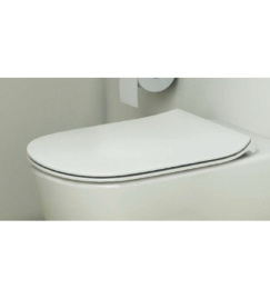 Крышка-сиденье Ideal Standard Tesi T352701 с микролифтом, петли хром