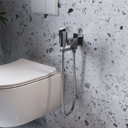 Фото Смеситель с гигиеническим душем Paini Bella BLCR442 хром