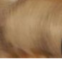 Фото Мыльница ArtCeram Victoria (HEA026 72) бронза