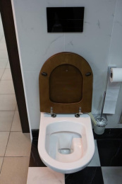 Фото Подвесной унитаз Villeroy Boch Hommage 6661B0R1