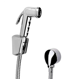 Фото Гигиенический душ Paini Forza 53CR174KITABS хром