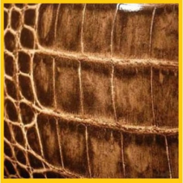 Фото Биде подвесное Cielo JUNGLE SHBSBD