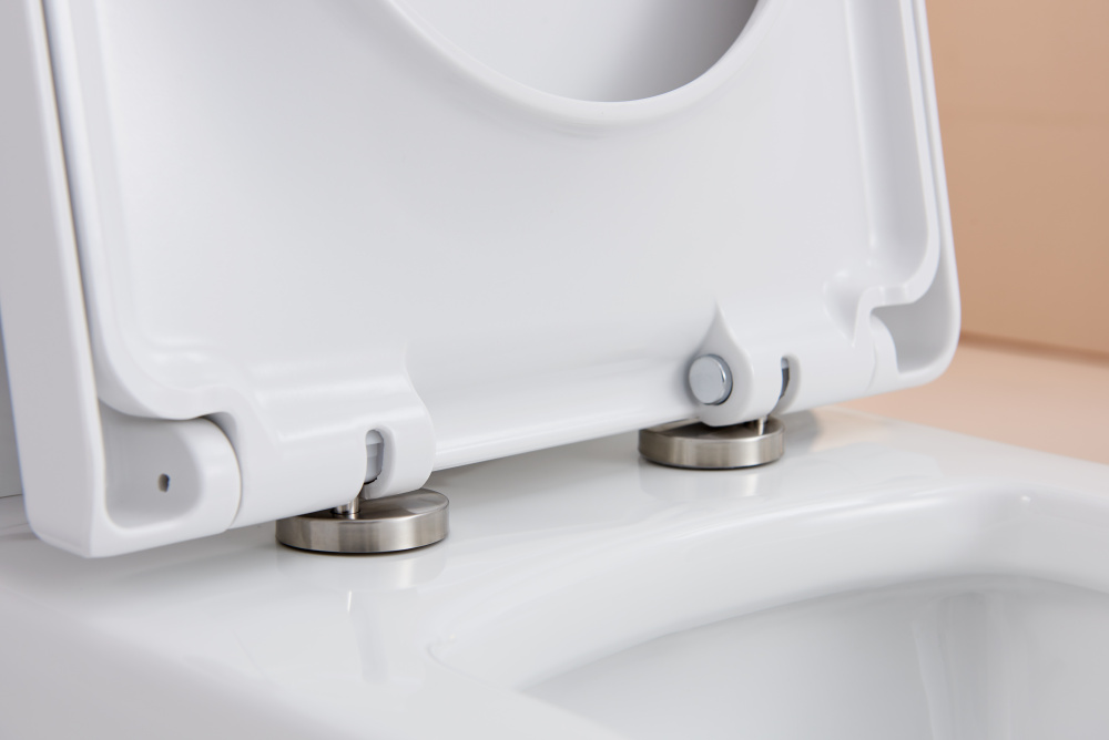 Фото Напольный унитаз CT2046