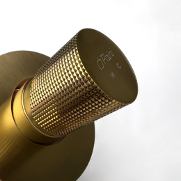 Фото Смеситель для душа Paini Cox grip 7GPJ690 золото