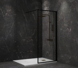 Фото Душевая перегородка 80x195 Paini PAINI-WalkIN80F