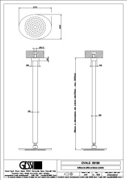 Фото Верхний душ Gessi Ovale (23150#031) хром