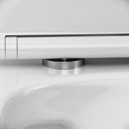 Damixa Luna DX46C8600SC Унитаз-компакт