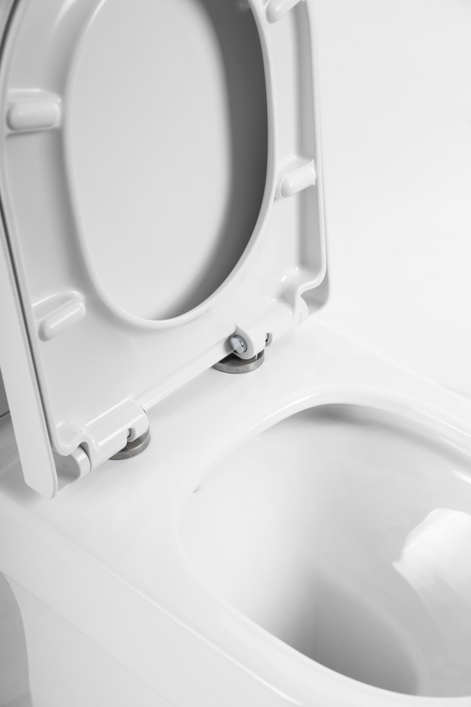 Фото Чаша напольного унитаза BelBagno NORMA BB339CPR