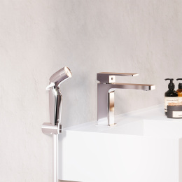 Смеситель с гигиеническим душем Damixa Gala (530300000) хром