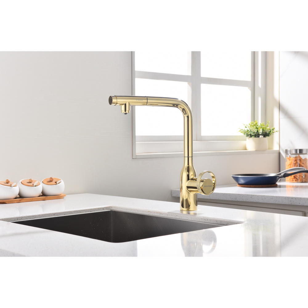 Смеситель для кухни Paulmark Urban (Ur213104-G) золото