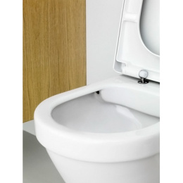 Инсталляция Jacob Delafon с безободковым унитазом Gustavsberg Hygienic Flush 5G84HR01, сиденье микро