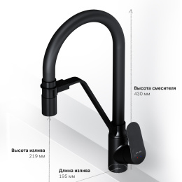 Смеситель для кухни Am.Pm Like (F8007822) черный