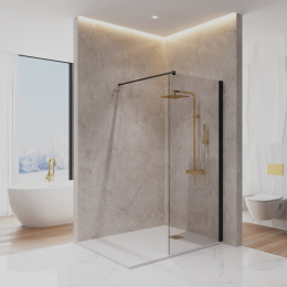 Фото Душевая перегородка 90x195 Paini PAINI-WalkIN90C