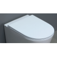 AZZURRA FORMA Сиденье для унитаза быстросъемное с микролифтом, цвет белый, петли хром