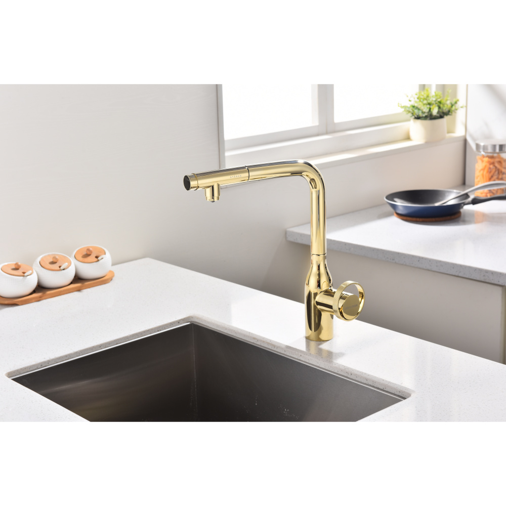 Смеситель для кухни Paulmark Urban (Ur213104-G) золото