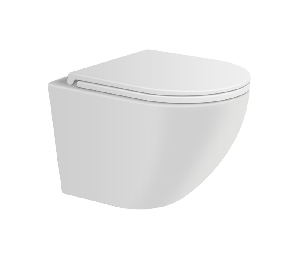 Фото Подвесной безободковый унитаз с сиденьем микролифт Avimano Emotion 1000021, цвет белый матовый