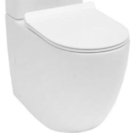 Чаша напольного унитаза Aquanet Rimless Cetus-C1 BL-102N-TPT
