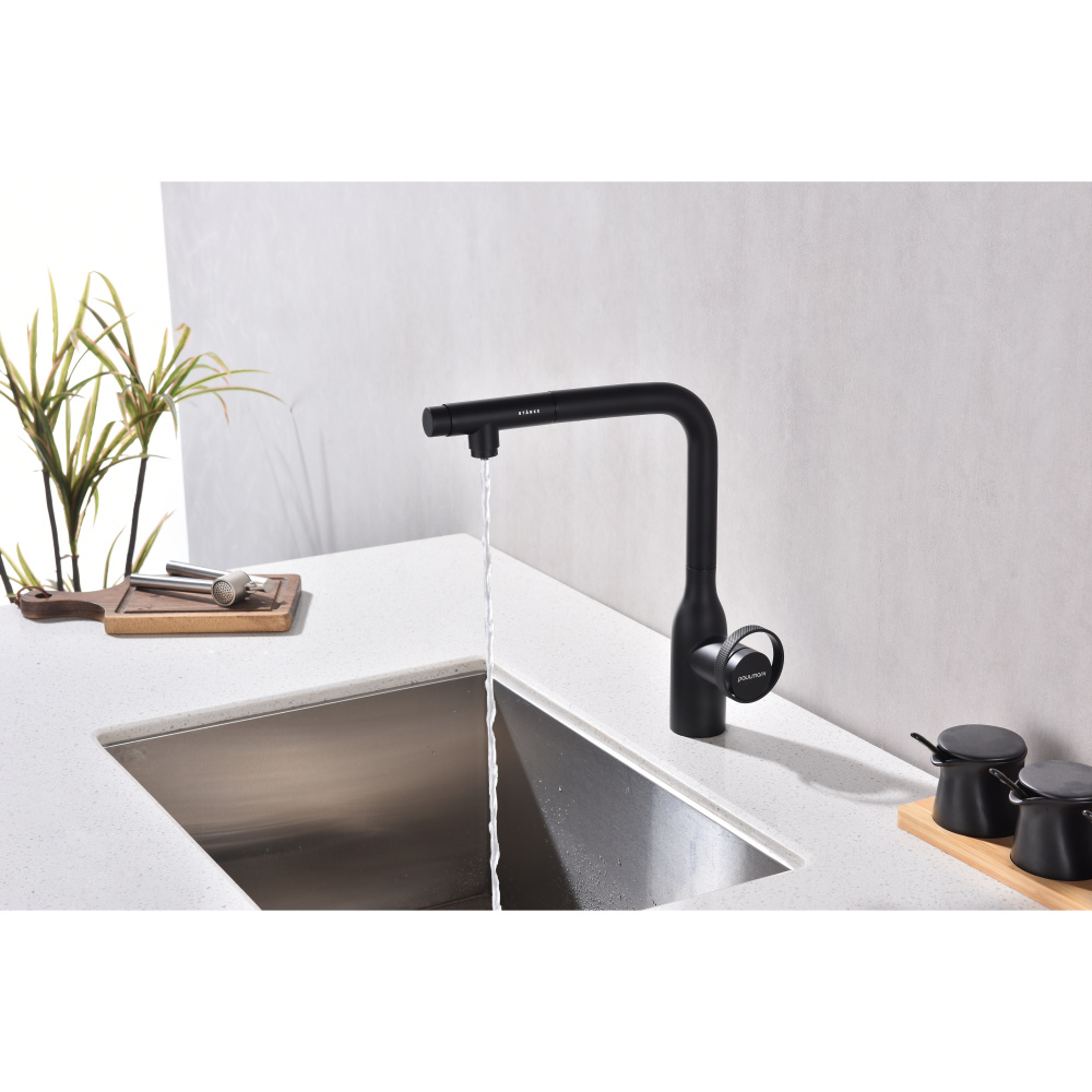 Смеситель для кухни Paulmark Urban (Ur213104-401) антрацит