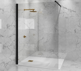 Фото Душевая перегородка 100x195 Paini PAINI-WalkIN100C