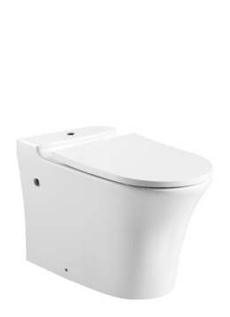 Фото Чаша унитаза Bravat Pura (CX21214UW-P-RUS)