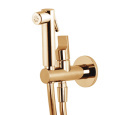 Гигиенический душ FIMA Carlo Frattini Collettivita F2320/1NOR+F2645 со смесителем золото