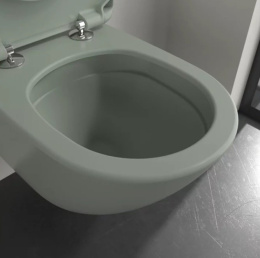 Фото Подвесной безободковый унитаз Villeroy&Boch Antao (4674T0R8) Morning Green
