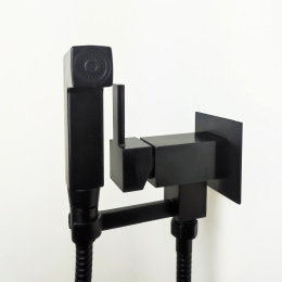 Фото Смеситель с гигиеническим душем Paini Bella BLPZ442 черный