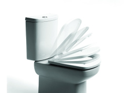 Фото Сиденье для унитаза Roca Dama Senso (801512004) белый